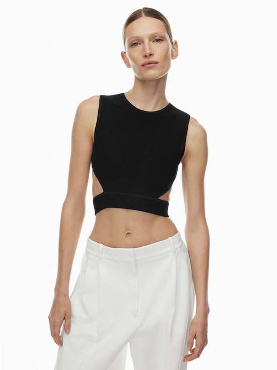 Babaton Tops - Babaton Aritzia Sculpt Knit Orchestrate Cut-Out Tank Top
